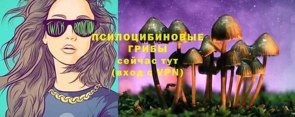 Альфа ПВП Верхний Тагил