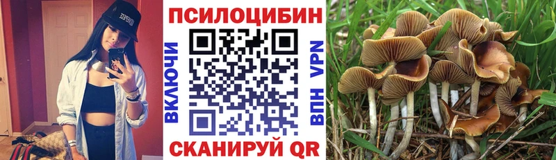 Галлюциногенные грибы Magic Shrooms  Купить закладки  Фурманов 